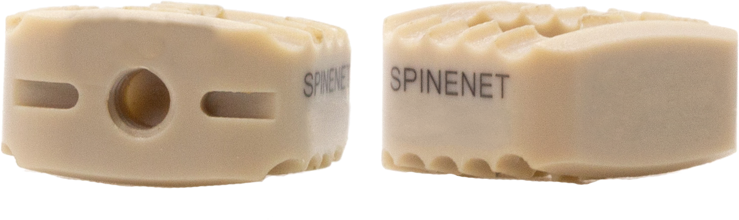 Spine Net Logo
